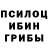 Псилоцибиновые грибы Psilocybine cubensis Areej