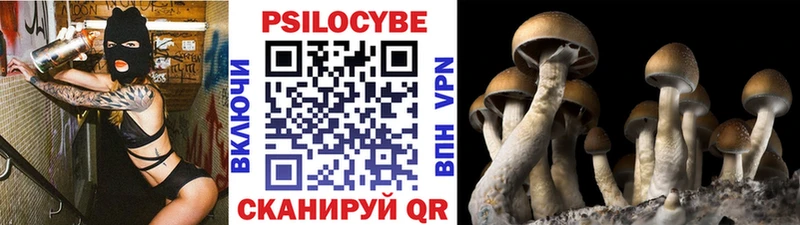 Псилоцибиновые грибы Magic Shrooms  даркнет сайт  kraken вход  Оренбург 