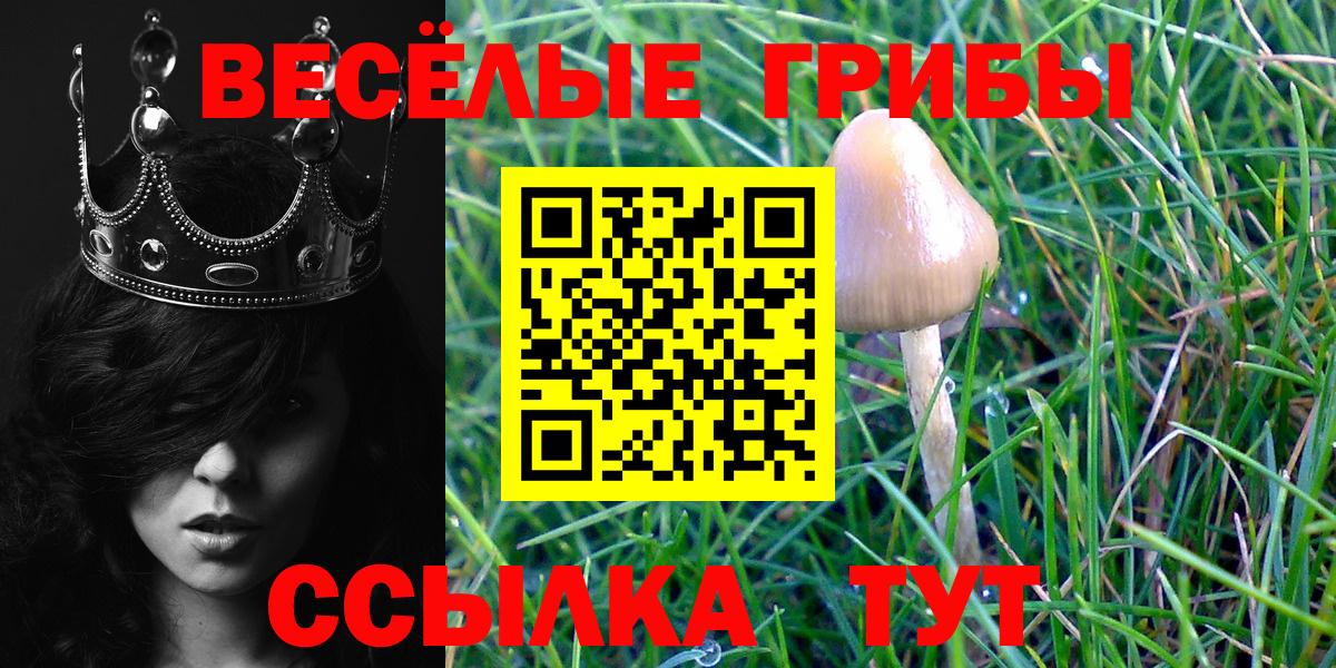 Галлюциногенные грибы Psilocybine cubensis  Вход с VPN  Оренбург 